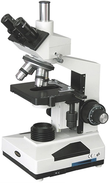 AmScope-T400B-Compound-Trinocular-Microscope