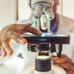 A scientist using a microscope