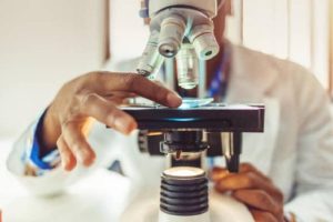 A scientist using a microscope