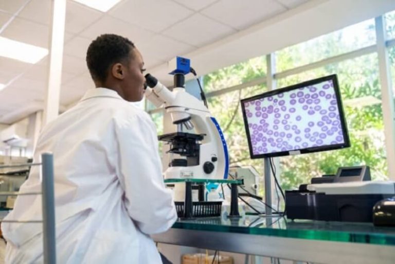 A scientist using a digital microscope