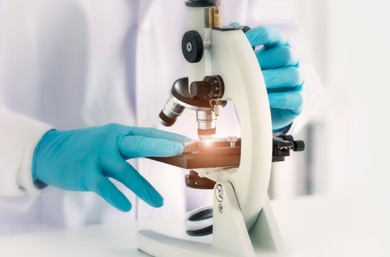 What are the Various Types of Compound Microscopes? - Microscope Log